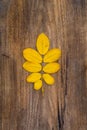 Yellow leaf of rowan lying on a wooden board