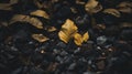 a yellow leaf sits on top of a pile of rocks and leaves