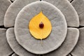 A yellow leaf sitting on top of a gray flower, AI