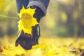 Yellow leaf stuck to the women`s shoe during a walk through the autumn forest. Royalty Free Stock Photo