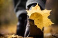 Yellow leaf stuck to the women`s shoe during a walk through the autumn forest. Royalty Free Stock Photo