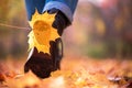 Yellow leaf stuck to the women`s shoe during a walk through the autumn forest. Royalty Free Stock Photo