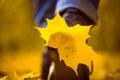 Yellow leaf stuck to the women`s shoe during a walk through the autumn forest. Royalty Free Stock Photo