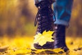 Yellow leaf stuck to the women`s shoe during a walk through the autumn forest. Royalty Free Stock Photo