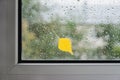 Yellow leaf on wet glass of window Royalty Free Stock Photo