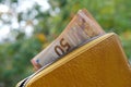 yellow leather wallet with EU Currency banknotes, cash money from European Union in female hand, financial goals and prosperity