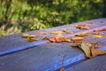 Fallen yellow leaves on a bench in the autumn park Royalty Free Stock Photo
