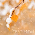 Yellow leaves of birch tree covered first snow. Winter or late autumn scene, nature frozen leaf, it is snowing Royalty Free Stock Photo