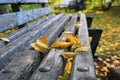 Yellow leaves close-up on a bench in a city park. Autumn landscape Royalty Free Stock Photo