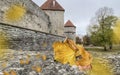 Yellow leaves fall Autumn in Tallinn old town tower red roof medieval wall travel to Estonia, weather forecast cold season Royalty Free Stock Photo