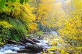 Yellow leaves frame a small creek in the Great Smoky Mountains. Royalty Free Stock Photo