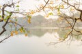 Bright yellow leaves of freshwater mangrove and Tortoise Tower at Hoan Kiem Lake, Hanoi