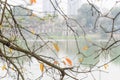 Bright yellow leaves of freshwater mangrove and Tortoise Tower at Hoan Kiem Lake, Hanoi