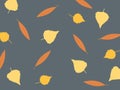 Yellow leaves on a gray background. Autumn illustration. Birch leaves.