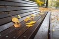 yellow leaves lie on bench in city park Royalty Free Stock Photo