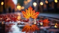 A yellow leaves lying on the ground near a body of water, illuminated by a beam of sunlight