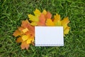 Yellow leaves and notebook on green grass Royalty Free Stock Photo