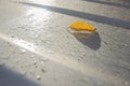 Yellow leaves on the roof of a car with group of dew and carpel Royalty Free Stock Photo