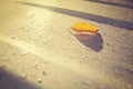 yellow leaves on the roof of a car with group of dew and carpel (vintage style) Royalty Free Stock Photo