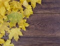 Yellow leaves of a wooden surface