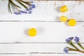 Yellow lemmon macaroons and flowers blue snowdrops on light wooden background Royalty Free Stock Photo