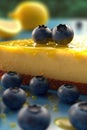 Yellow Lemon blueberry Cheesecake