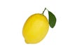 Yellow lemon citrus fruit and green leaves