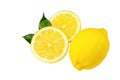 Yellow Lemon citrus half slices with leaf isolated on white background Royalty Free Stock Photo