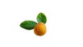 yellow citrus fruits and fresh leaves Citrus limon on white background Royalty Free Stock Photo