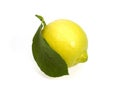 Yellow Lemon, citrus limonum, Fruit against White Background Royalty Free Stock Photo