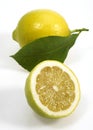 Yellow Lemon, citrus limonum, Fruit against White Background Royalty Free Stock Photo