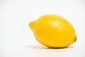 Yellow lemon fruit white background Royalty Free Stock Photo