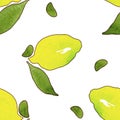 Yellow lemon fruits with green leaves isolated on white background.Watercolor drawing seamless pattern for design .