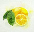 Yellow lemon with green leaves watercolor painting