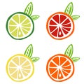 Yellow lemon green lime orange red grapefruit icon fruit citrus