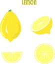 Yellow lemon, green roots, leaves, on white background, hand drawing, painting