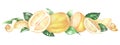 Yellow lemon with leaves elongated horizontal border. Whole citrus, zest, half, pieces. Watercolor illustration