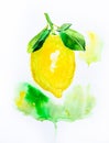 Yellow lemon with leaves. Fruit illustration. Bright print for fabric or wallpaper.
