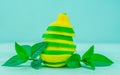 Yellow lemon and lime with fresh green mint on mint colour background Royalty Free Stock Photo