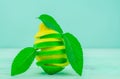 Yellow lemon and lime with fresh green mint on mint colour background Royalty Free Stock Photo