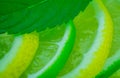 Yellow lemon and lime with fresh green mint on mint colour background Royalty Free Stock Photo