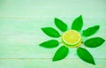 Yellow lemon and lime with fresh green mint on mint colour background Royalty Free Stock Photo