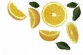 yellow lemon lime fruit with green leaf texture pattern. Royalty Free Stock Photo