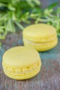 Yellow lemon macaron with lemon