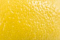 Yellow Lemon Peel Texture Royalty Free Stock Photo