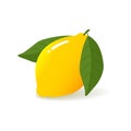 yellow Lemon ripe closeup. realistic yellow Lemon with leaf. Vector illustration