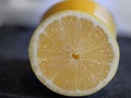 Lemon slice, Citrus limonum Royalty Free Stock Photo