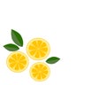 Yellow lemon slice with green leaf icon vector illustration.