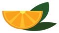 Yellow lemon slice with green leaves  vector illustration Royalty Free Stock Photo