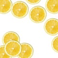 Yellow lemon slices on white Royalty Free Stock Photo